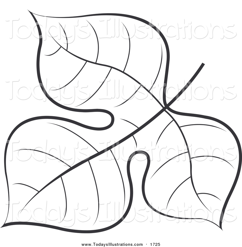 1024x1044 Clipart Of A Black And White Tree Leaf By Lal Perera