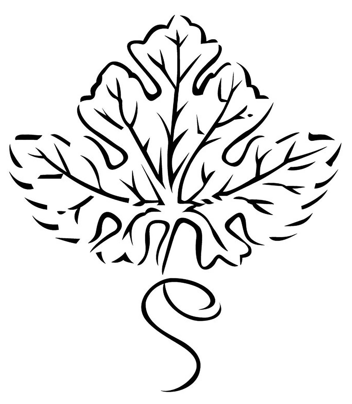 1200x1379 Adobe Photoshop