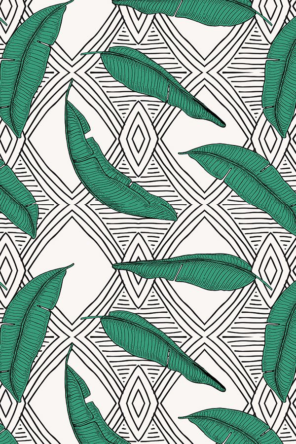 600x900 Orinoco Jungle Line By Holli Zollinger