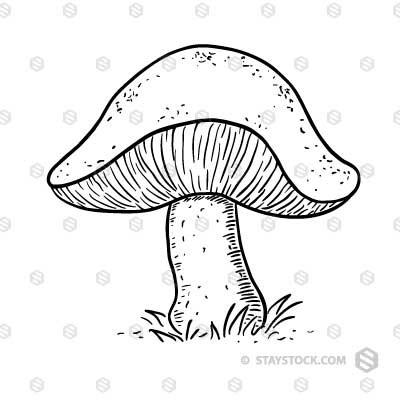 400x400 Mushroom Sketch Staystock