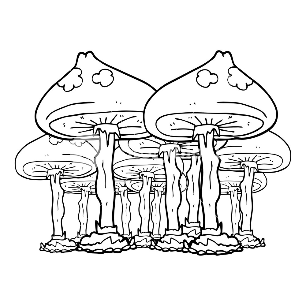 1000x1000 Freehand Drawn Black And White Cartoon Mushrooms Royalty Free
