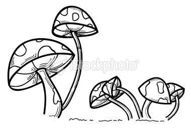 380x257 A Set Of Black And White Mushrooms. Mushrooms, Draw And Doodles