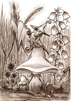 236x334 Fungi, Martha Iserman Botanical Prints Mushrooms