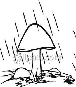 260x300 Black And White Mushroom Clipart
