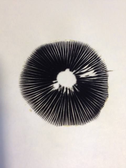 480x640 The Poetry Of Material Things Black And White Love