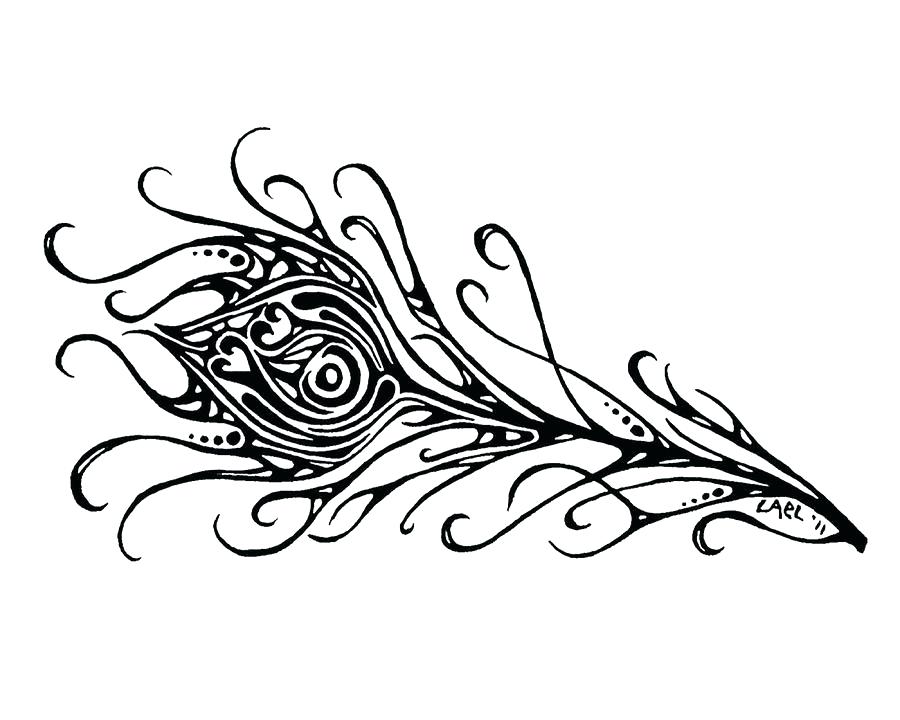 900x720 Feather Wallpaper Black And White Peacock Feather Drawing Black