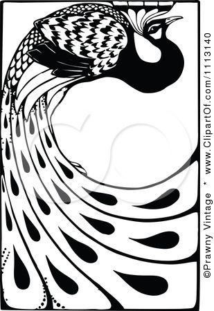 309x450 Image Detail For Clipart Vintage Black And White Peacock