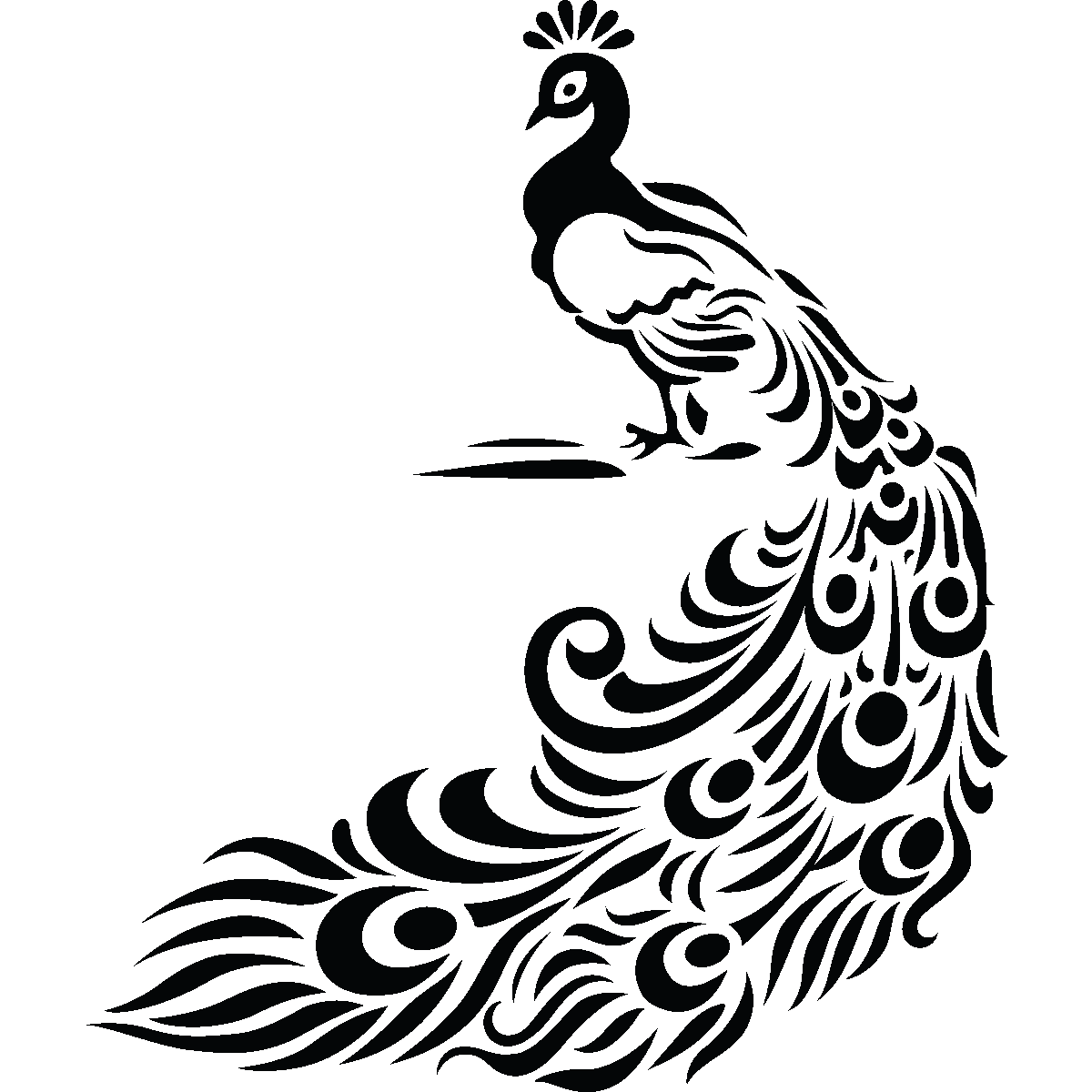 1200x1200 Images For Gt Black And White Peacock Feather Drawing Master
