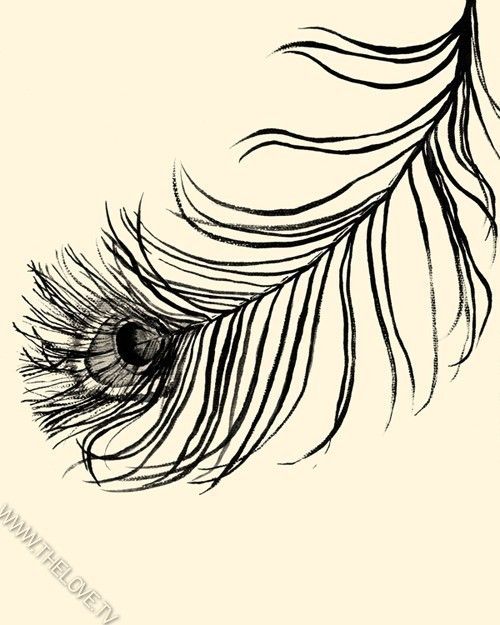 500x625 Lucky Feather 16x20 Print Peacock Feathers, Feathers And Tattoo