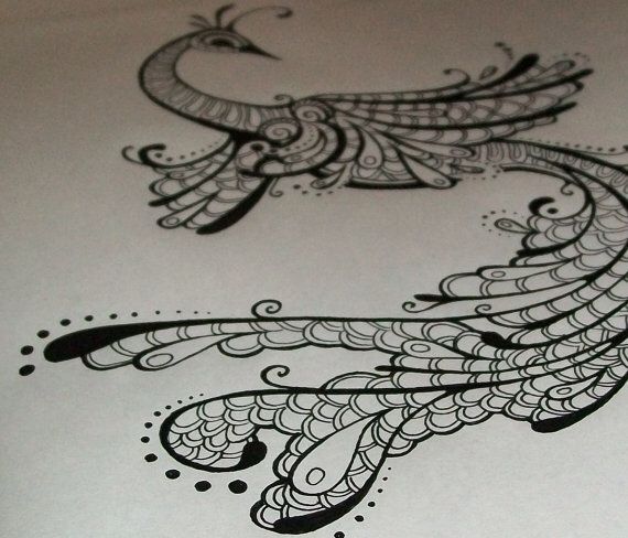 570x488 Love The Detail Peacocks Peacocks