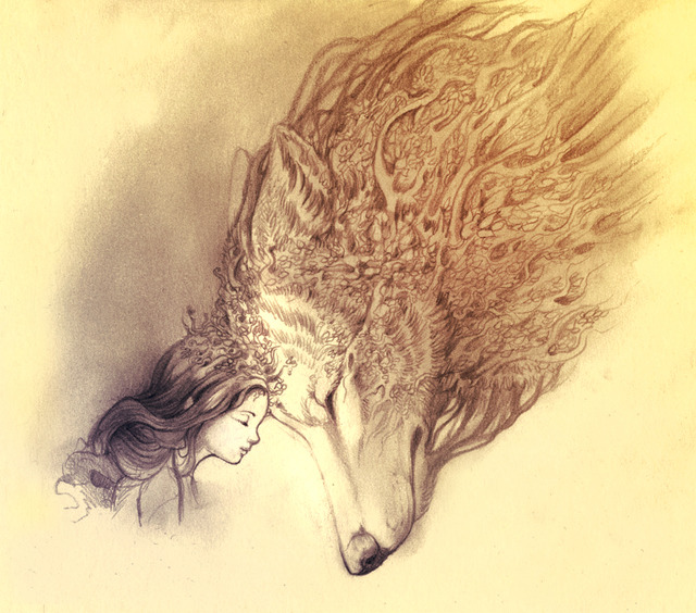 640x564 Wolfs Black And White Tumblr