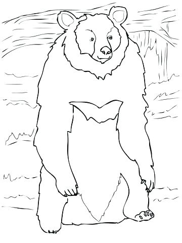 360x480 Teddy Bear Face Coloring Page Black Pages Standing Drawing