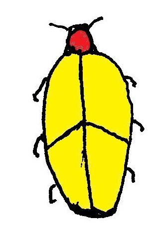 315x472 Drawing Of Iron Cross Blister Beetle