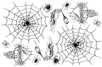 325x213 Reel Creations