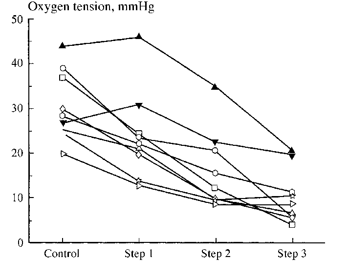714x570 Dynamics Of Tissue Po 2 In The Intercapillary Space Of The Rat