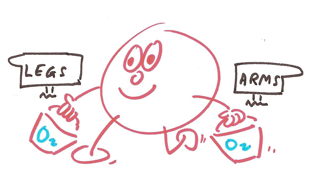 1273x783 Cartooning For Learning Vision Learning