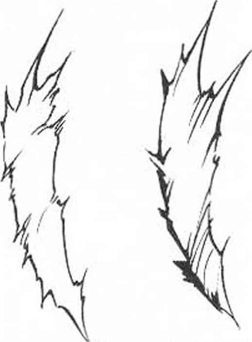 518x703 Express Blows Swelling Bruises The Like With Oblique Lines