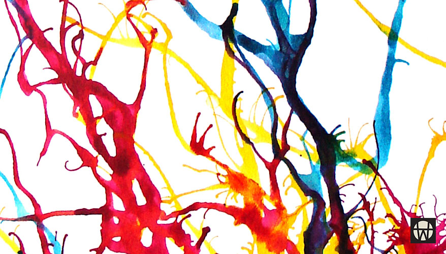 878x500 Blowdrawings By Hanna Werning