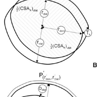 320x320 Jordi Altimiras Ph.d. University, Liu