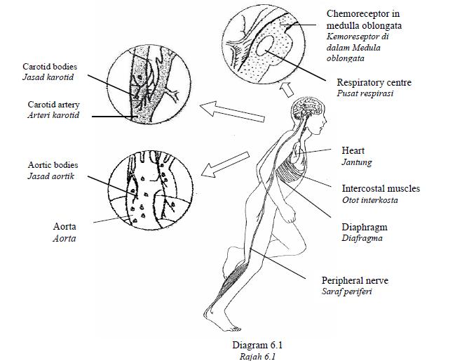 659x514 Rozaini Othman (Guru Cemerlang Biologi) August 2010
