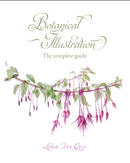 513x640 Botanical Illustration The Complete Guide