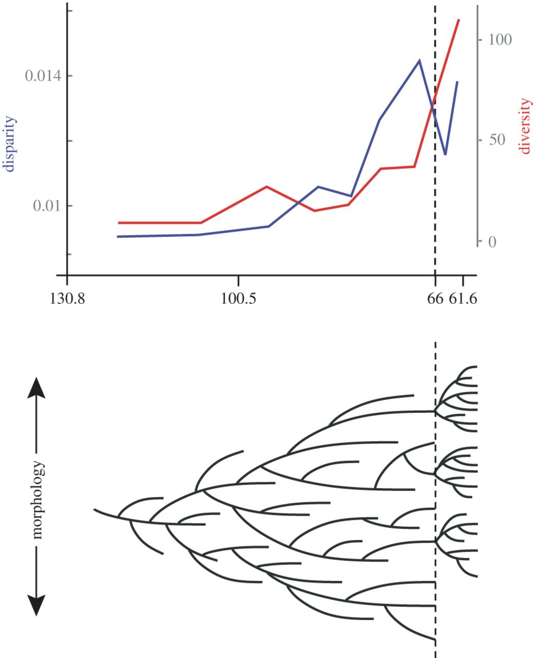 1038x1280 Proceedings Of The Royal Society Of London B Biological Sciences