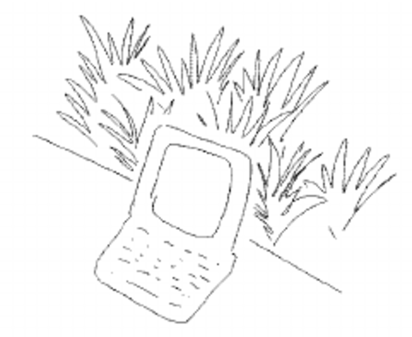 850x695 Deleting Visual Information On One Side Of A Given Boundary Raises