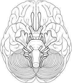 236x270 Science Worksheets Online S, Worksheets And Homeschool