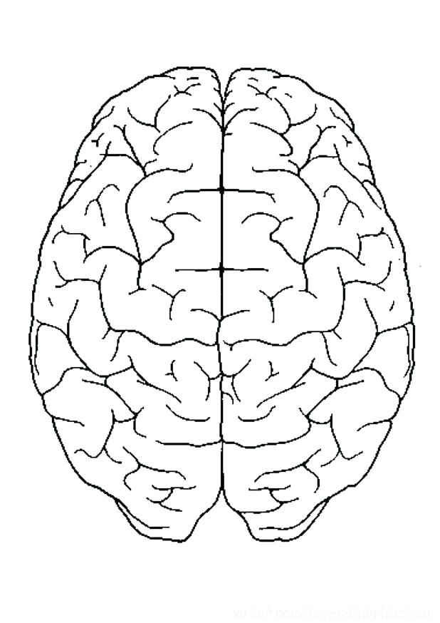 618x874 Brain Coloring Page Brain Coloring Page Brain Coloring Page
