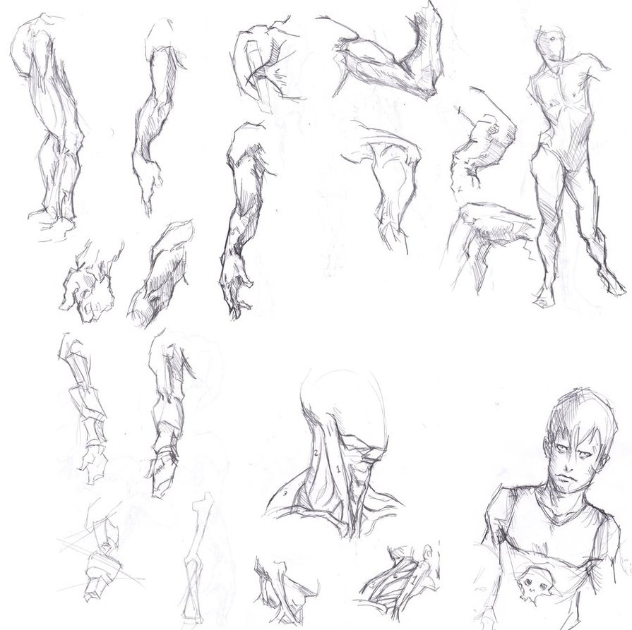 895x893 Bridgeman Sketchdump 3 By Vimes Da