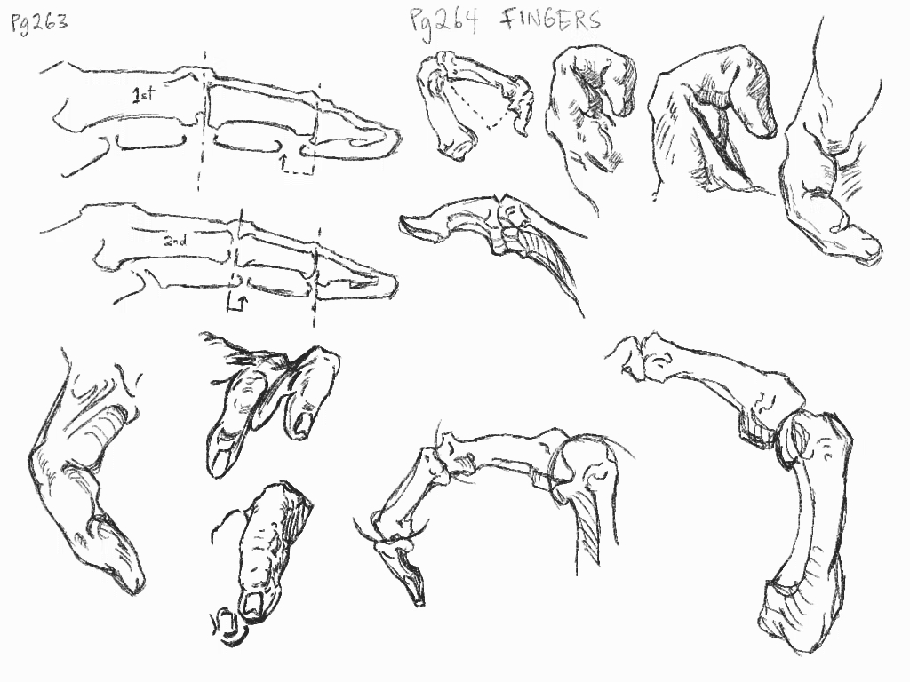 1024x768 Daiolupo (Dwain Aiolupotea)