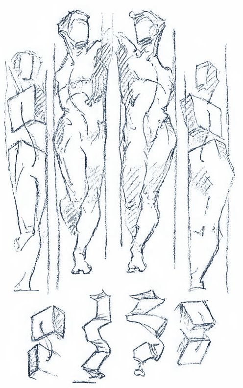 496x792 31 Best Human Anatomy Bridgeman Images On Human