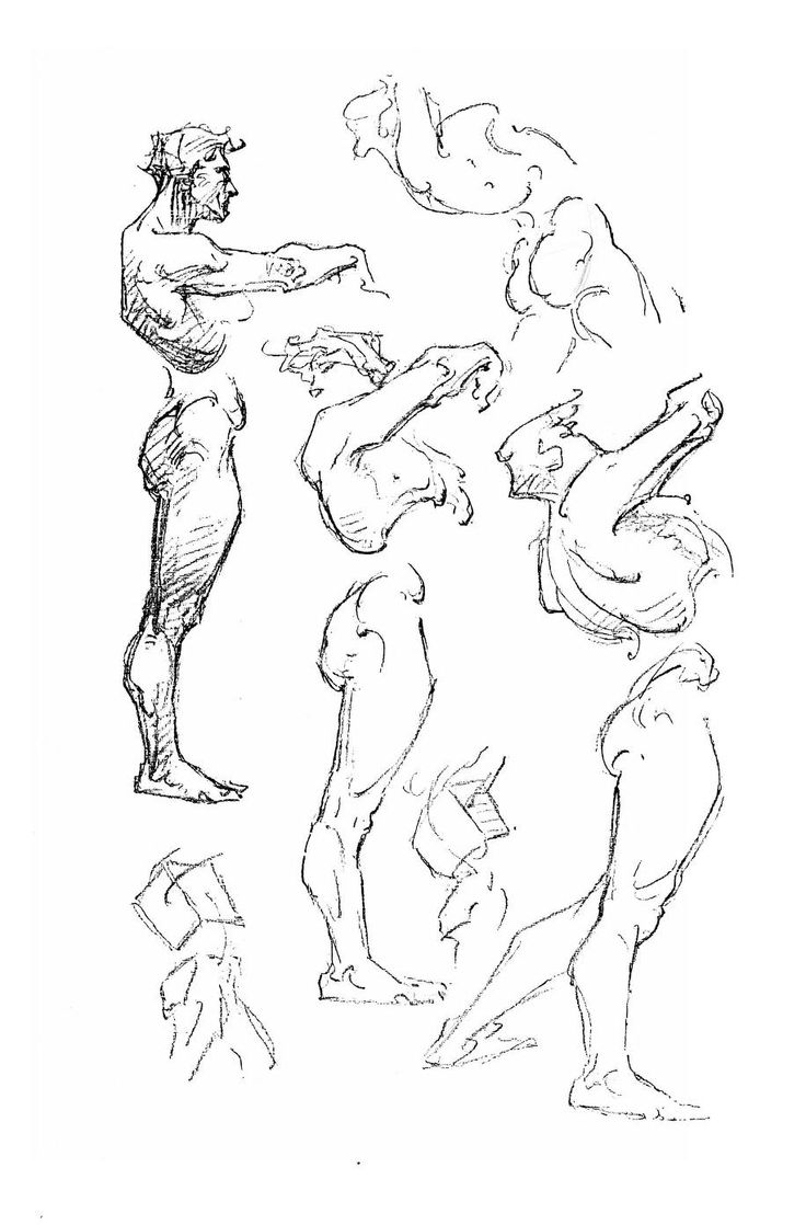 736x1118 37 Best Artist George Bridgman Images On Anatomy