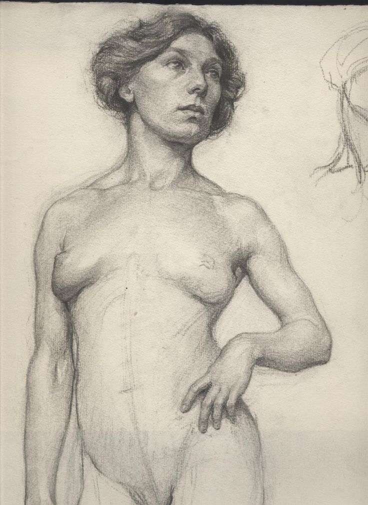 736x1011 31 Best George Bridgeman Amp Students Images On Anatomy