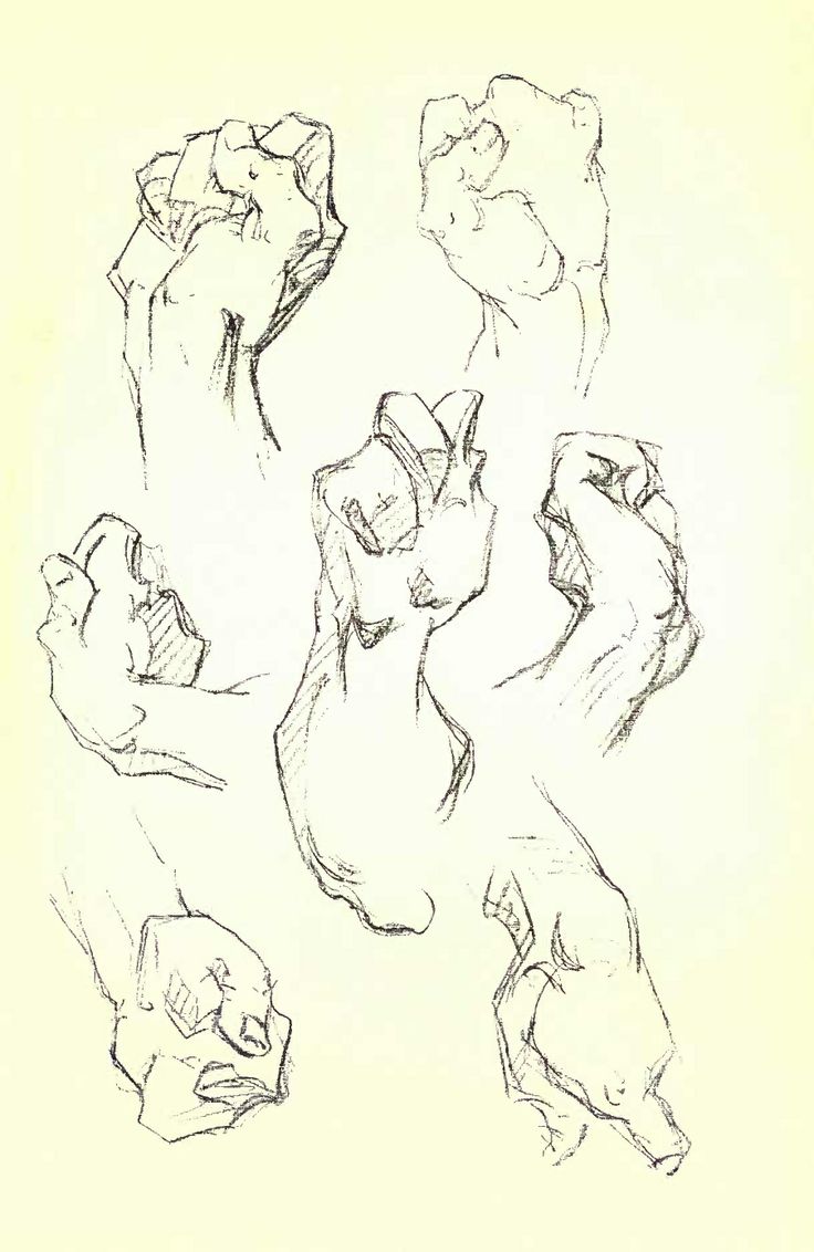 736x1132 48 Best George Bridgman Images On Anatomy Reference