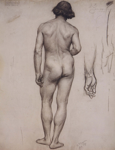 382x500 Marie Dauenheimer's Art And Anatomy Blog New Book Classical