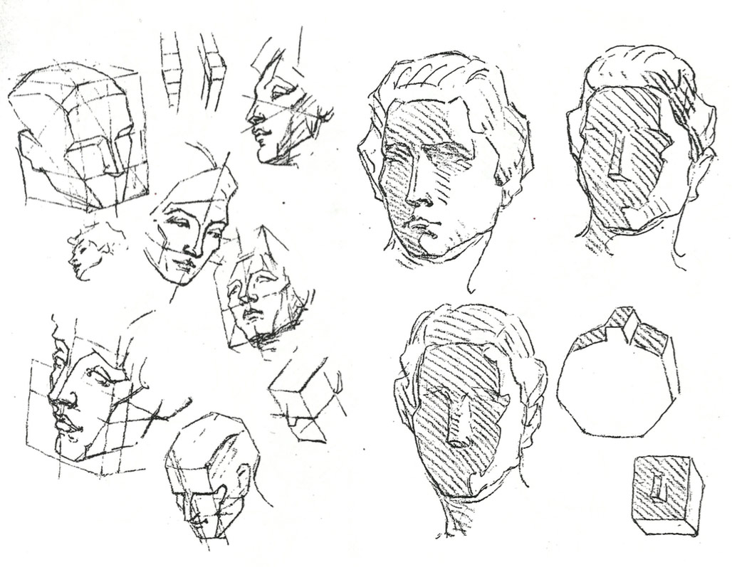 1028x797 Anatomy Head, Neck Amp Shoulders Drawing Seeing