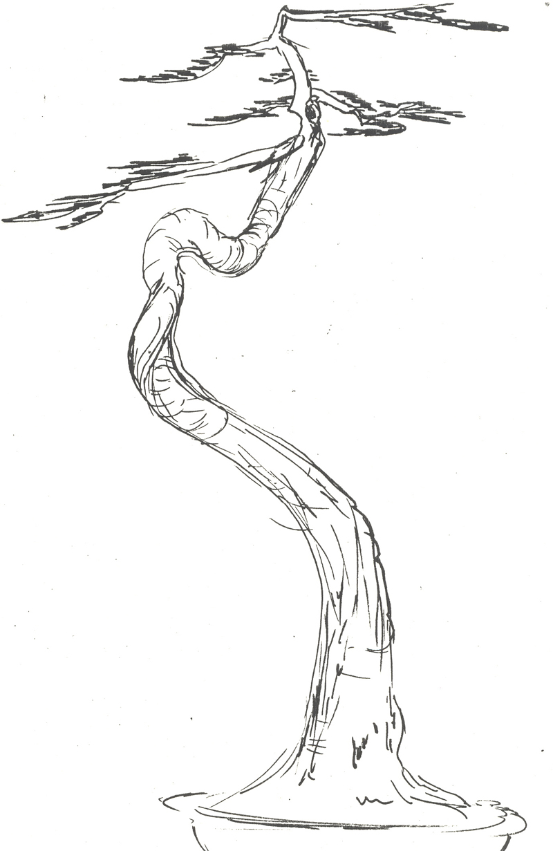 800x1231 The Art Of Bonsai Project