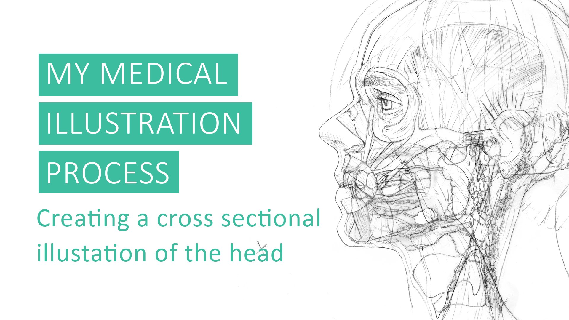 1920x1080 A Brief Overview Of My Medical Illustration Process By Annie