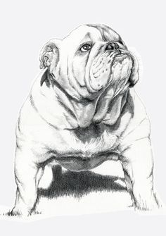 236x335 Go Hard Or Go Home English Bulldog Art Print Bulldogs