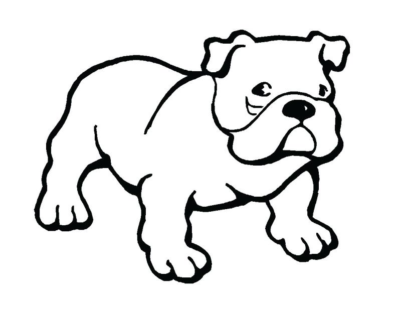 800x618 Happy Bulldog Clipart