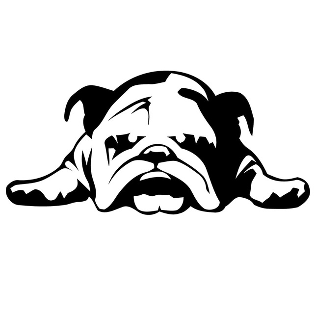 640x640 Hotmeini 33x 69.6cm 2 X (One For Each Side) English Bulldog Tired