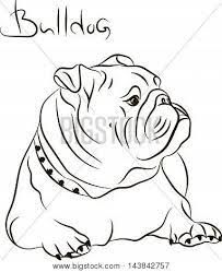 203x249 Image Result For English Bulldog Line Drawing Cnc