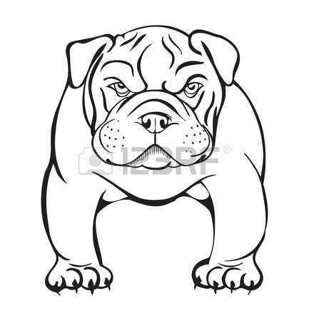433x450 Bulldog Clipart Realistic