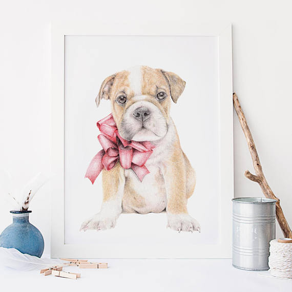 570x570 Beau The British Bulldog English Bulldog Dog Art Print