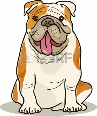 337x400 English Bulldog Clipart Face