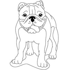 236x236 How To Draw An English Bulldog English Bulldog Obsession