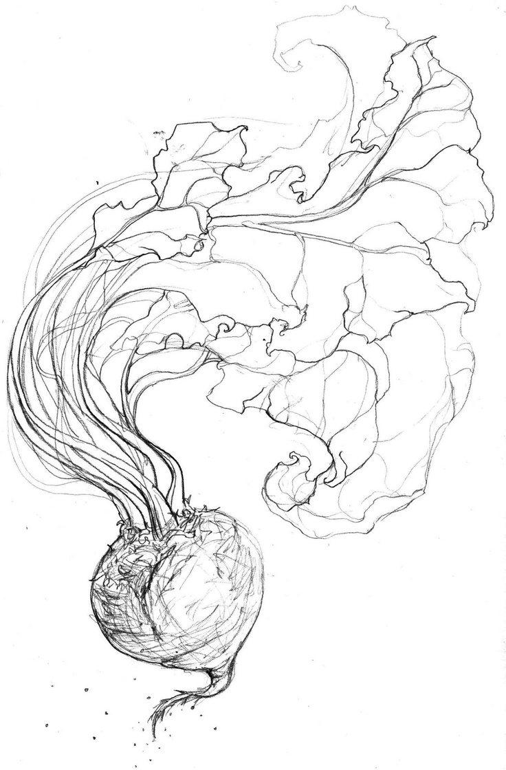 736x1120 331 Best Simple Line Drawings Images On Drawing