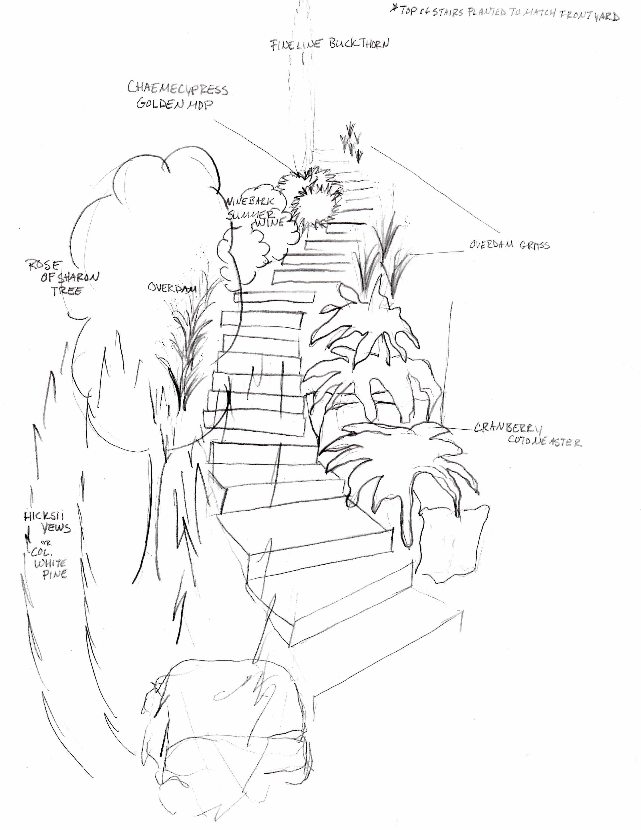 2550x3300 Landscape Drawing Templates Beautiful Free Design Brochure