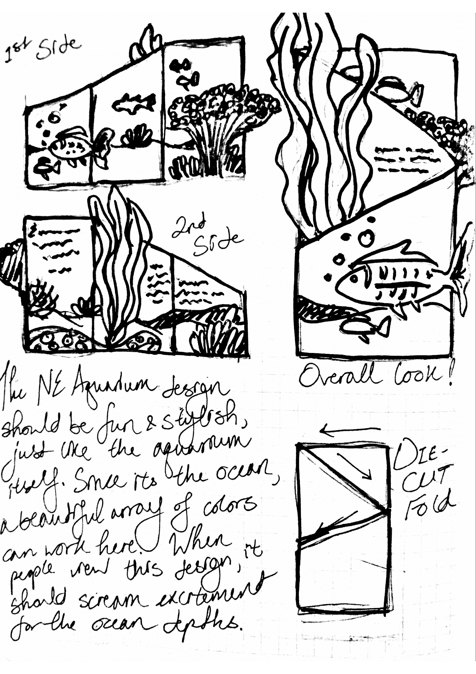 1653x2339 New England Aquarium Brochure Mulcare